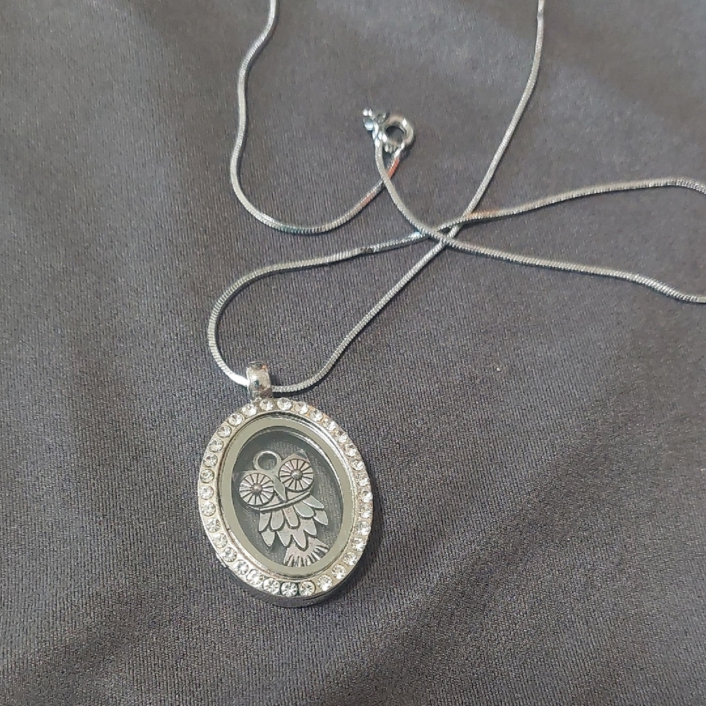 Silver Owl Locket Opens So You Can Change It Out .The Necklace Is 925 .